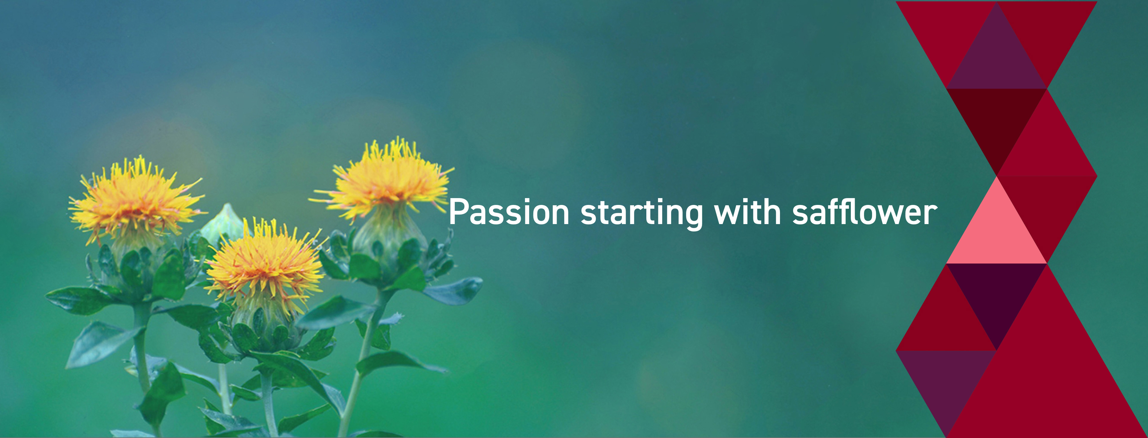 Passion starting with safflower
