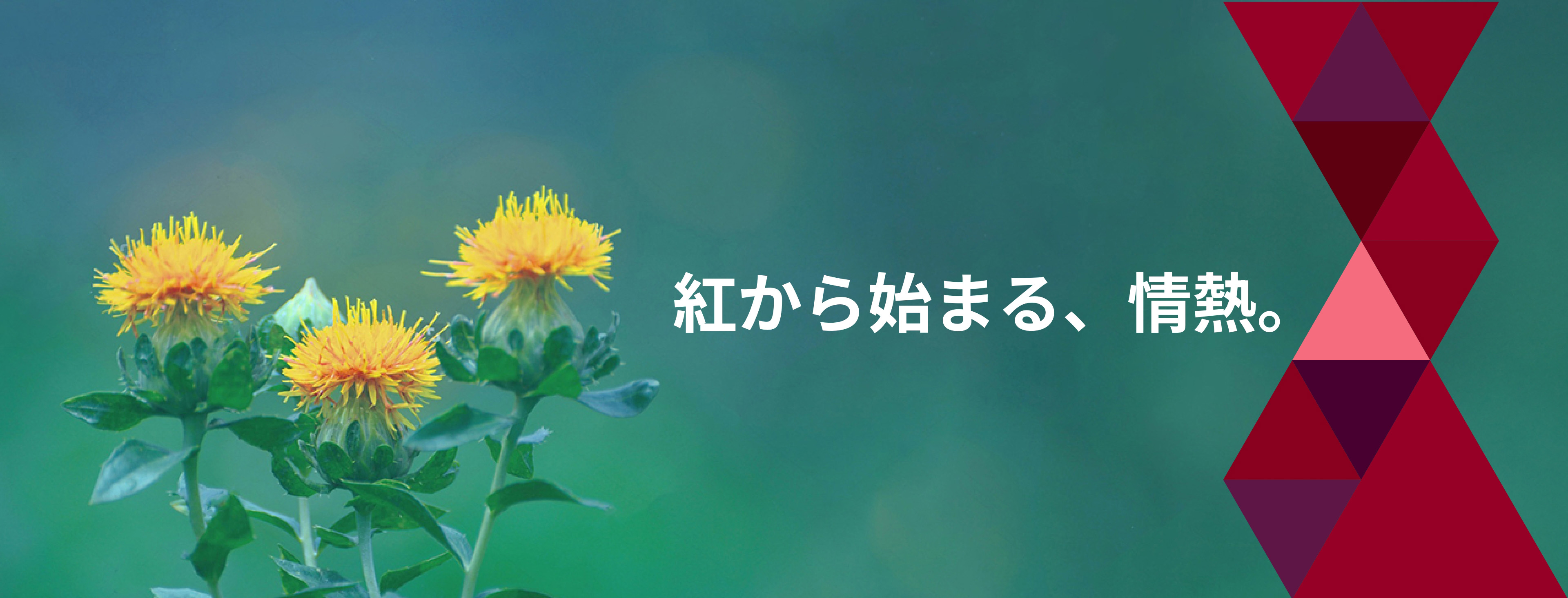 紅からはじまる情熱
