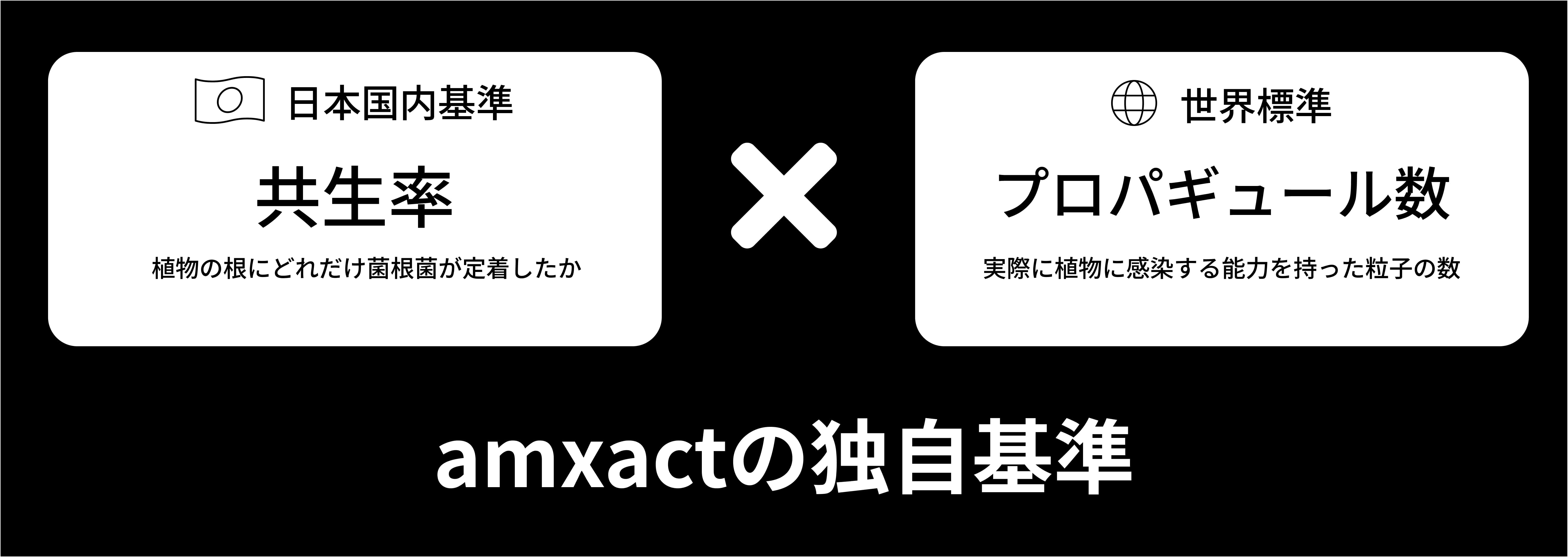 amxactの独自基準