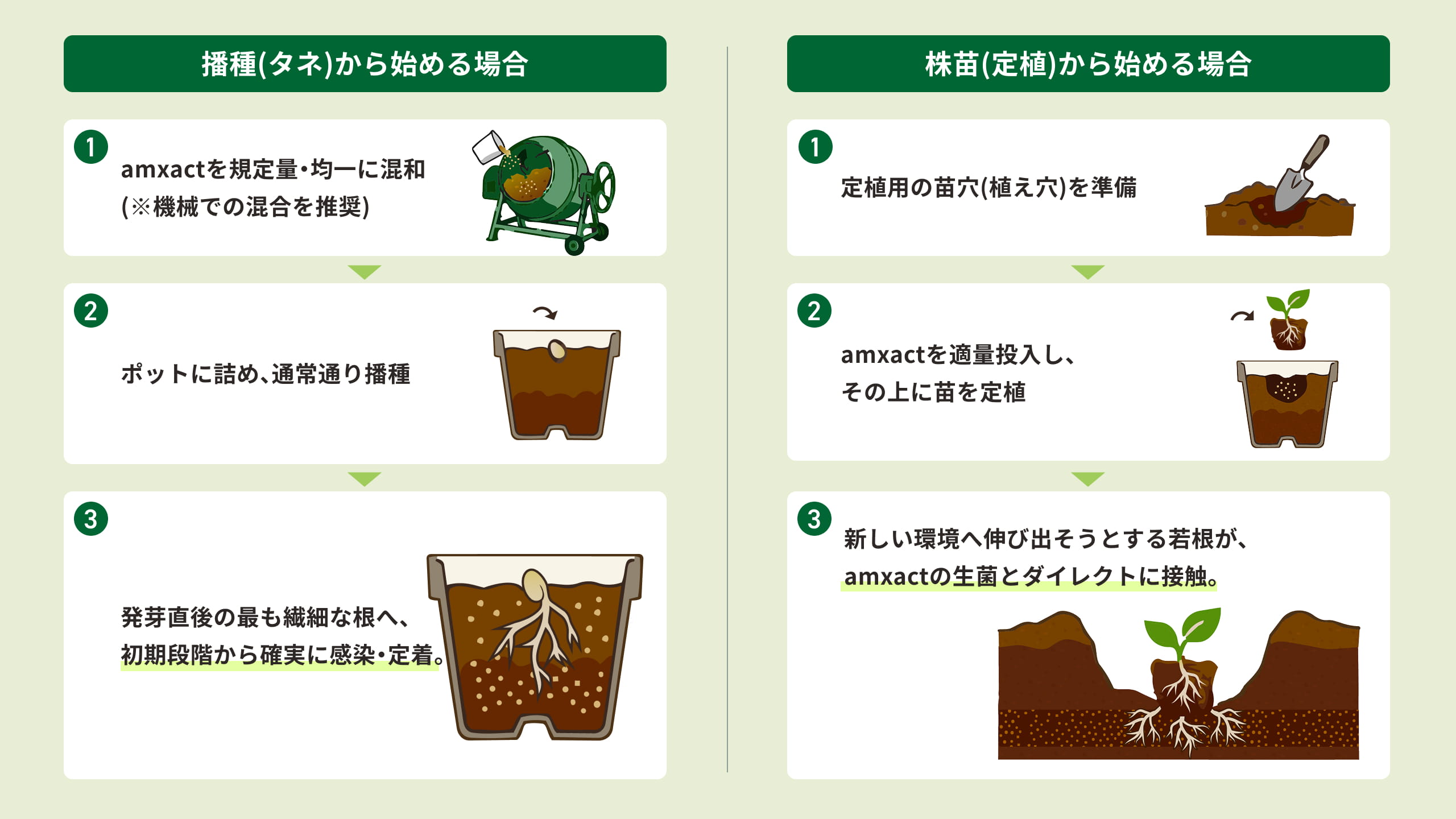 amxact 基本使用方法 徹底図解