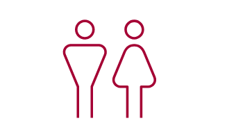 男女比のイラスト
