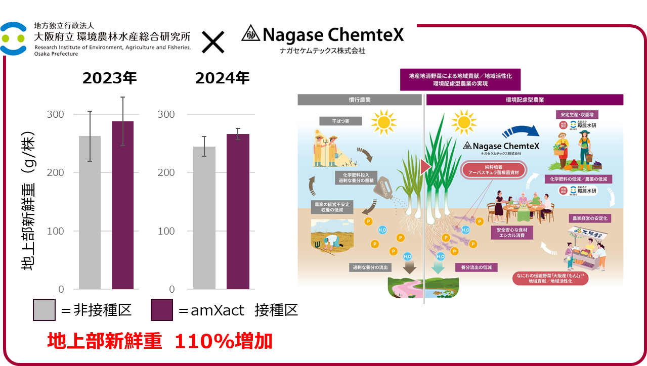 大阪府環農水研との共同研究結果