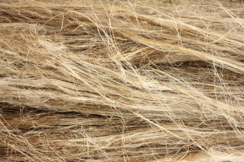 Flax
