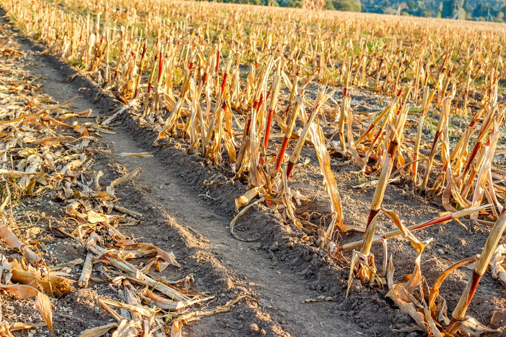 Crop Residues