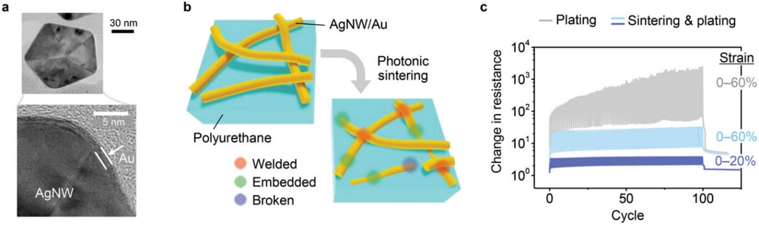 AgNW/Au-based electrode