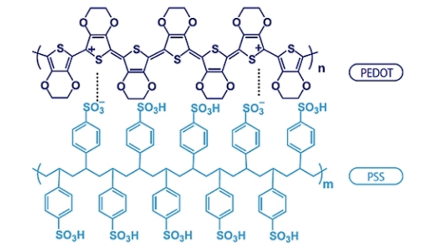 PEDOT:PSS (polythiophene)