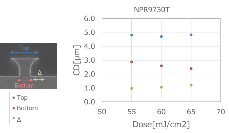 Exposure margin