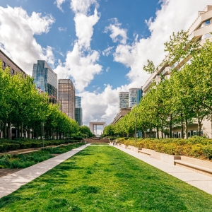 街路樹・緑化事業