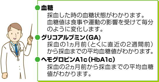 血糖 採血した時の血糖状態がわかります。 血糖値は食事や運動の影響を受けて毎分のように変化します。 グリコアルブミン(GA) 採血の1ヶ月前(とくに直近の2週間前)から採血までの平均血糖値がわかります。 ヘモグロビンA1c(HbA1c) 採血の2ヶ月前から採血までの平均血糖値がわかります。 血糖 採血した時の血糖状態がわかります。 血糖値は食事や運動の影響を受けて毎分のように変化します。 グリコアルブミン(GA) 採血の1ヶ月前(とくに直近の2週間前)から採血までの平均血糖値がわかります。 ヘモグロビンA1c(HbA1c) 採血の2ヶ月前から採血までの平均血糖値がわかります。
