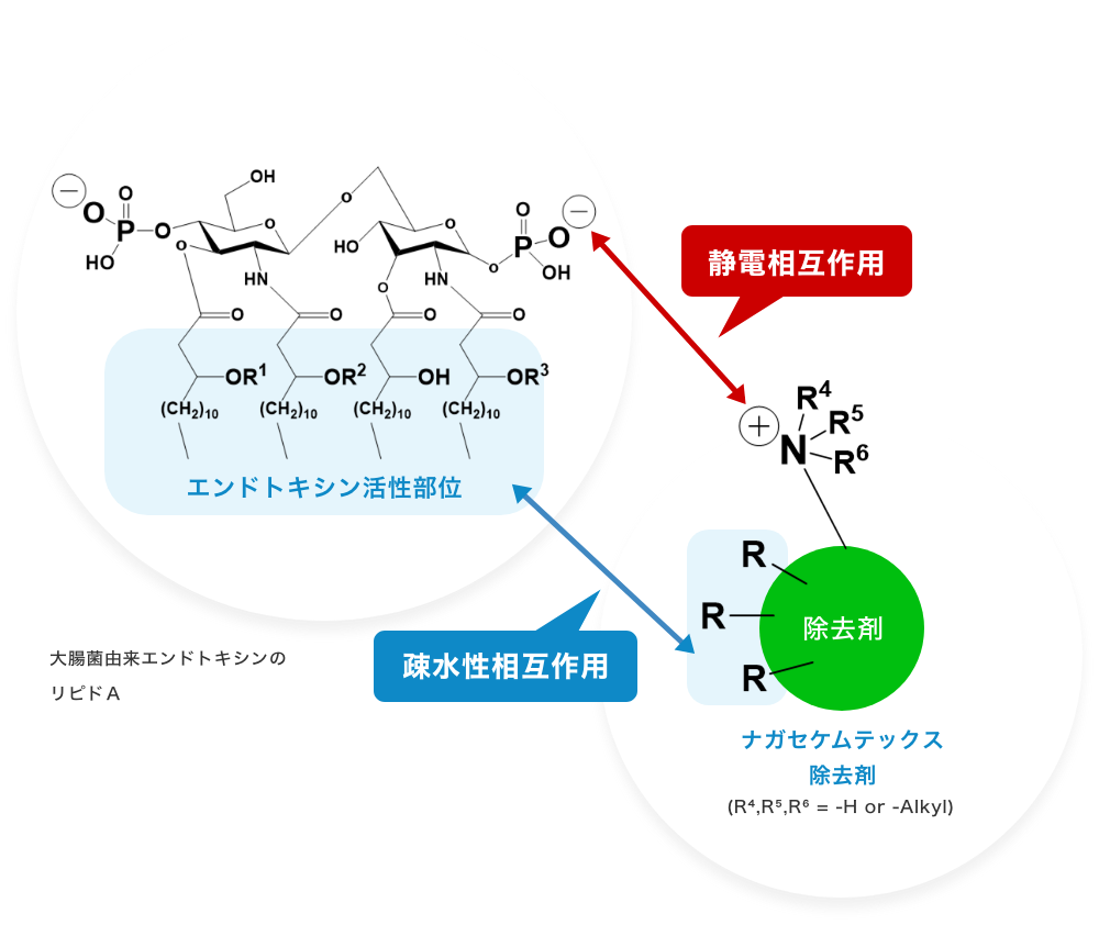 Low Endotoxin image