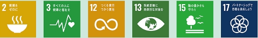SDGs icon 2 3 12 13 15 17