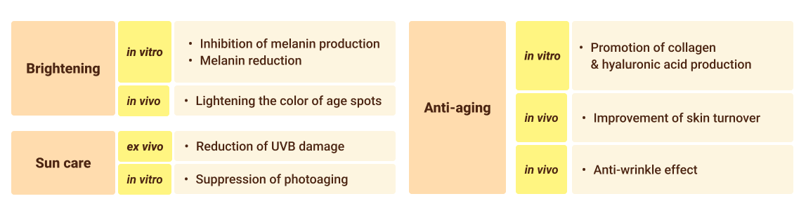 Beyond Brightening - Multifunctionality as Vitamin C