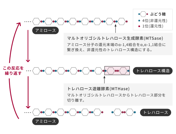 集められた土壌サンプルの一部