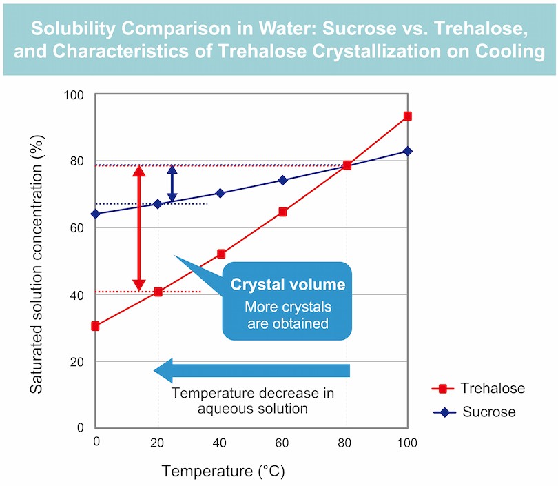 Comparison of solubility in water (sugar and trehalose) and characteristics of crystal formation in aqueous trehalose solutions as temperature decreases.