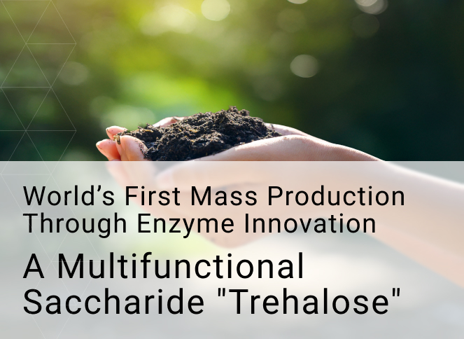 A Multifunctional Saccharide 'Trehalose'