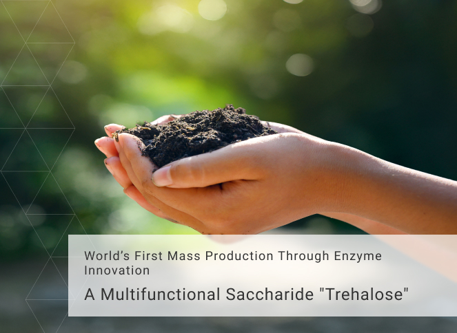 A Multifunctional Saccharide 'Trehalose'