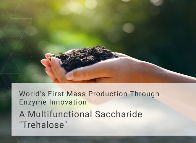 A Multifunctional Saccharide 'Trehalose'